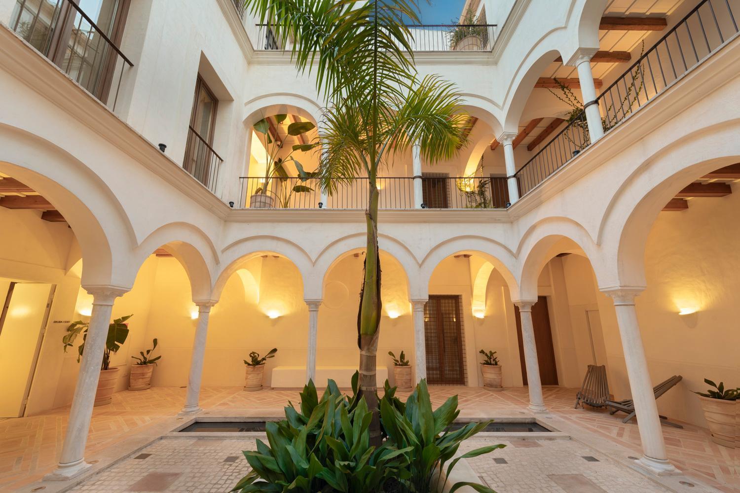 Studio suite - Planta Baja