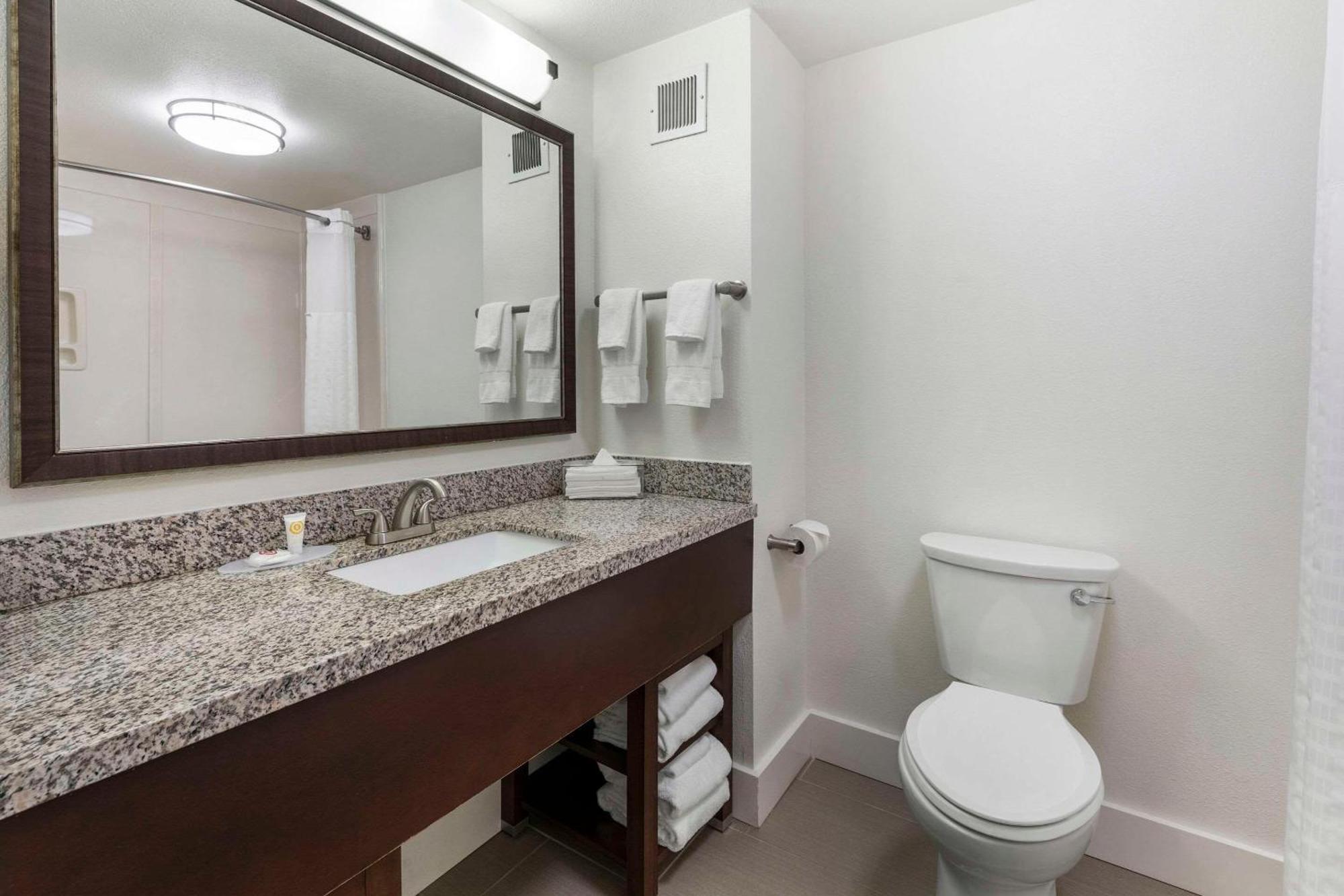 Double Queen Suite with Sofa Bed