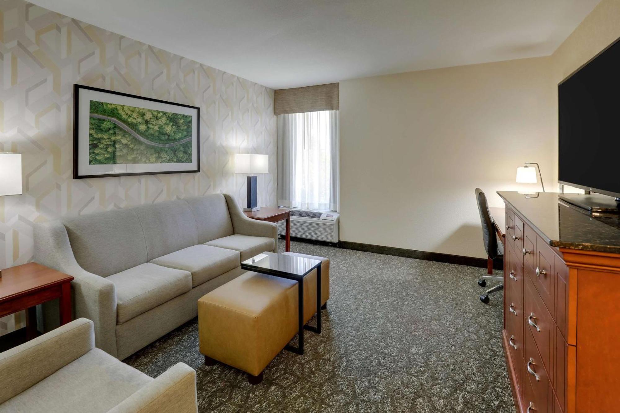 King Suite Sofa Bed,1622044599:JPEG