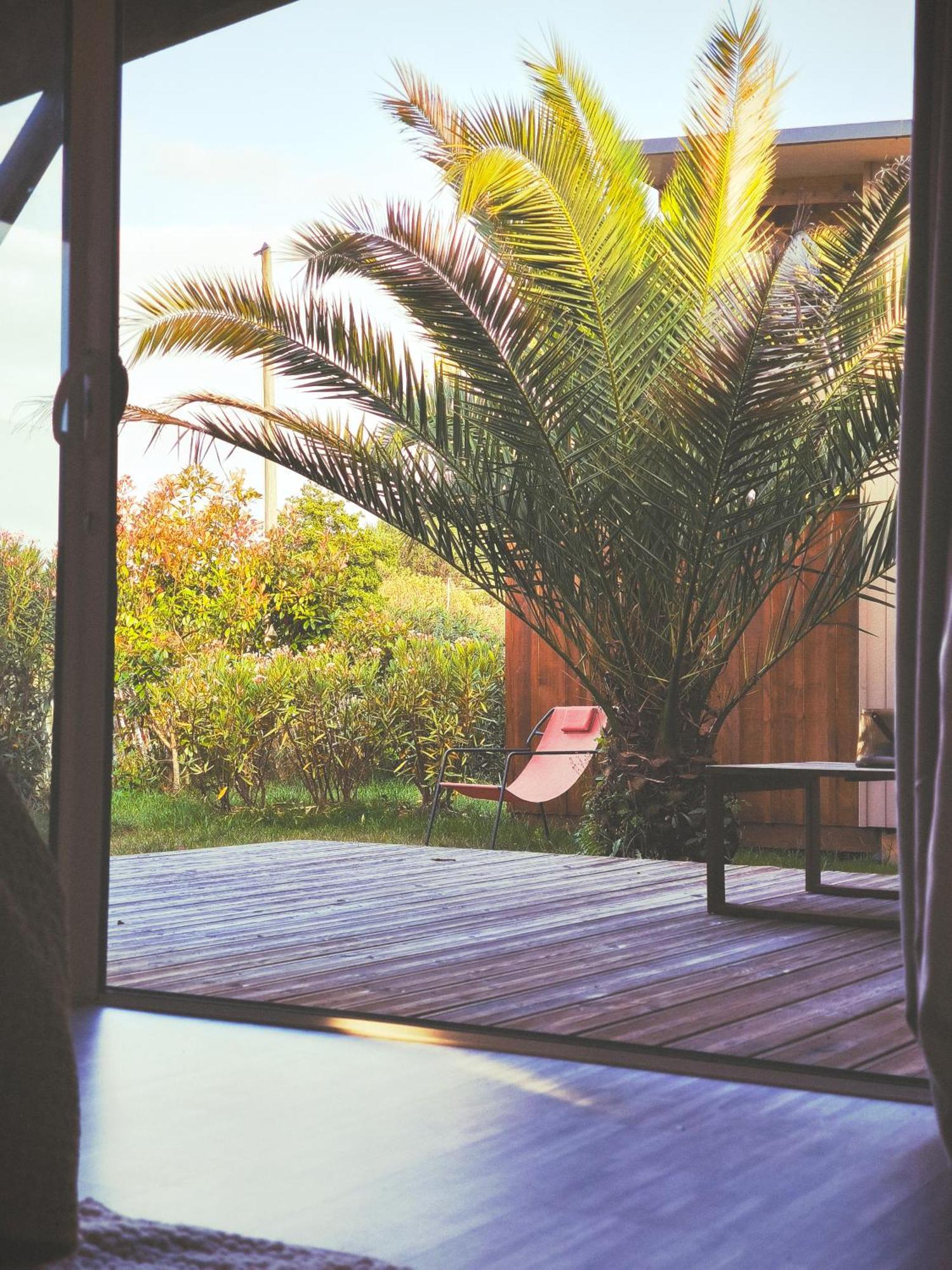Suite Garden View