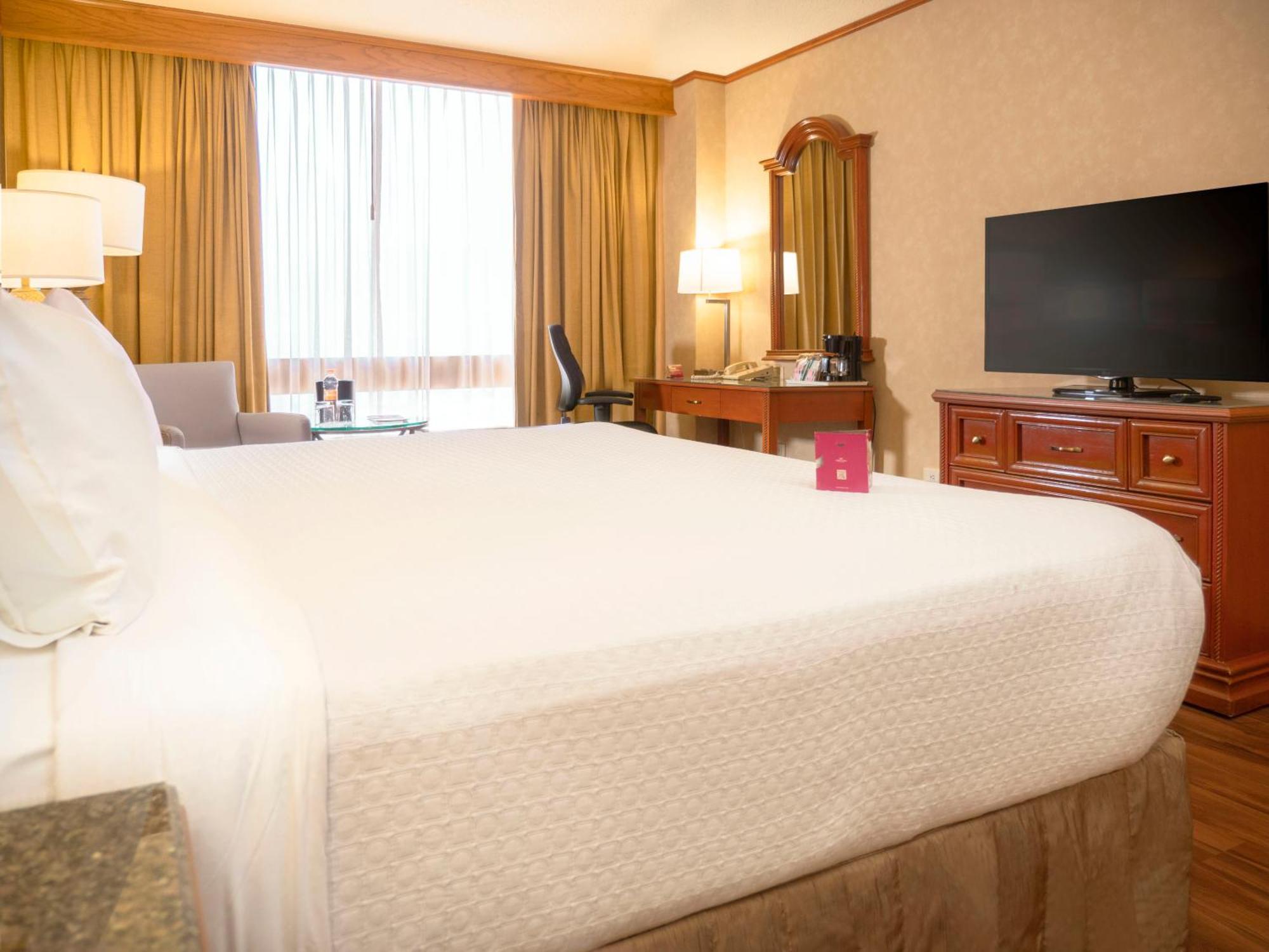 Habitación Estándar - Cama extragrande