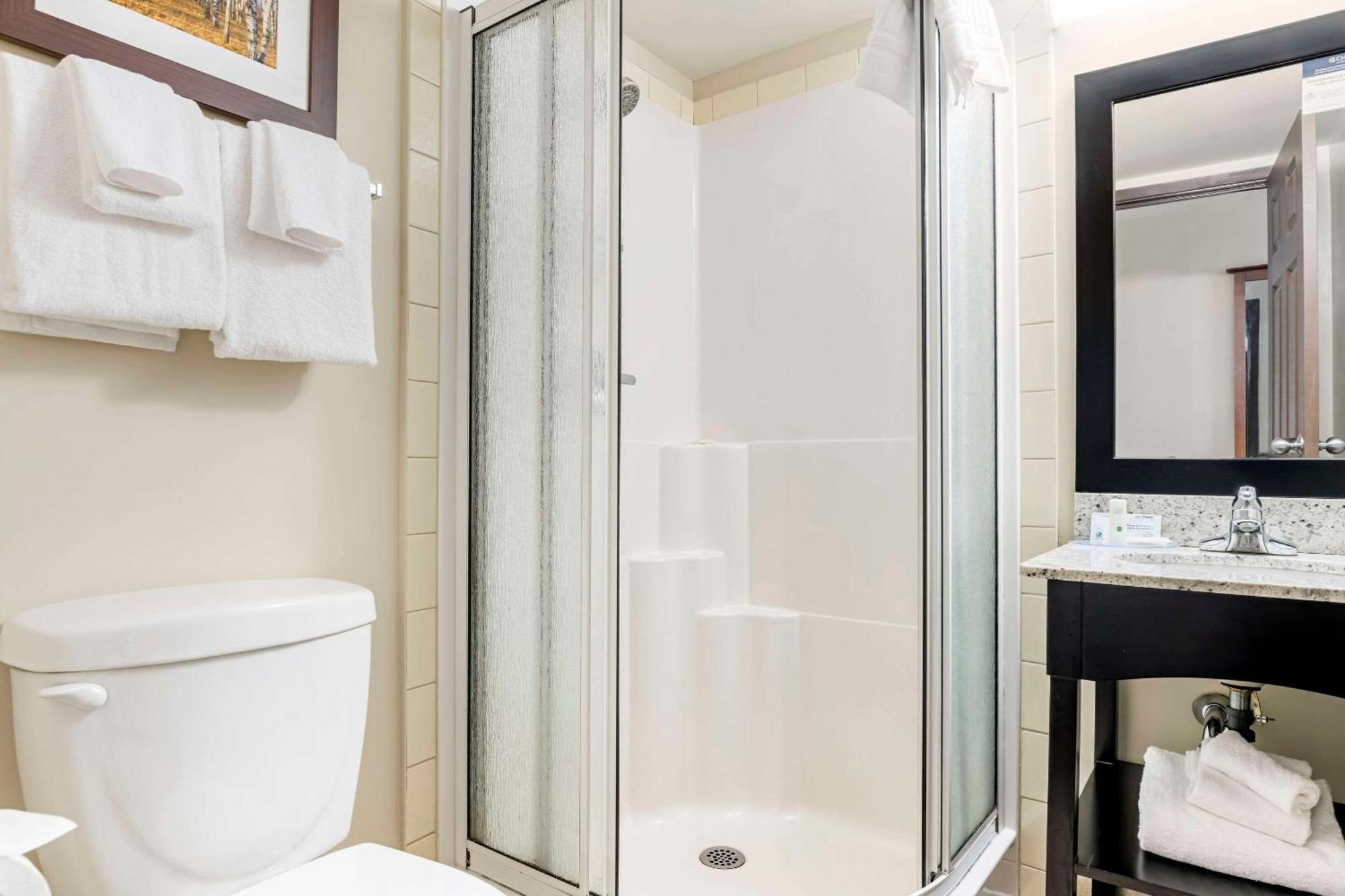 Chambre Lit King-Size avec Coin Cuisine - Non-Fumeurs