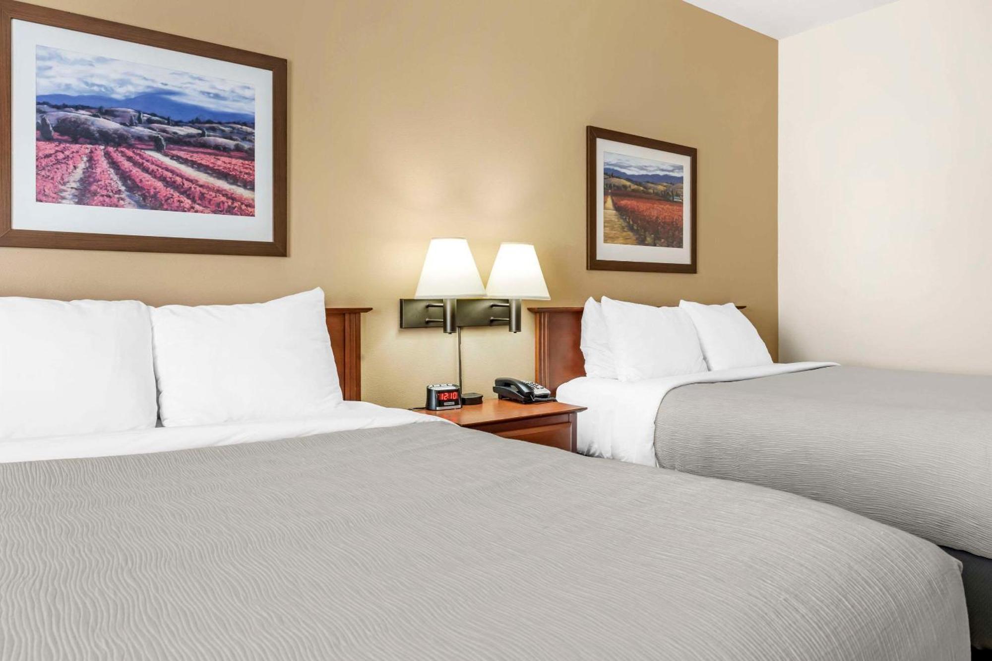 Chambre 2 Lits Queen-Size - Non-Fumeurs