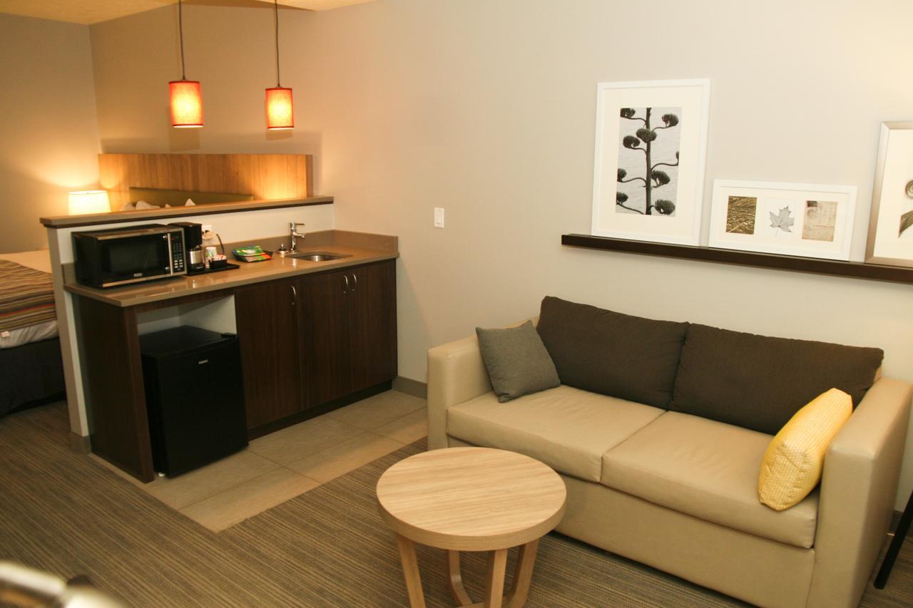 King Studio Suite