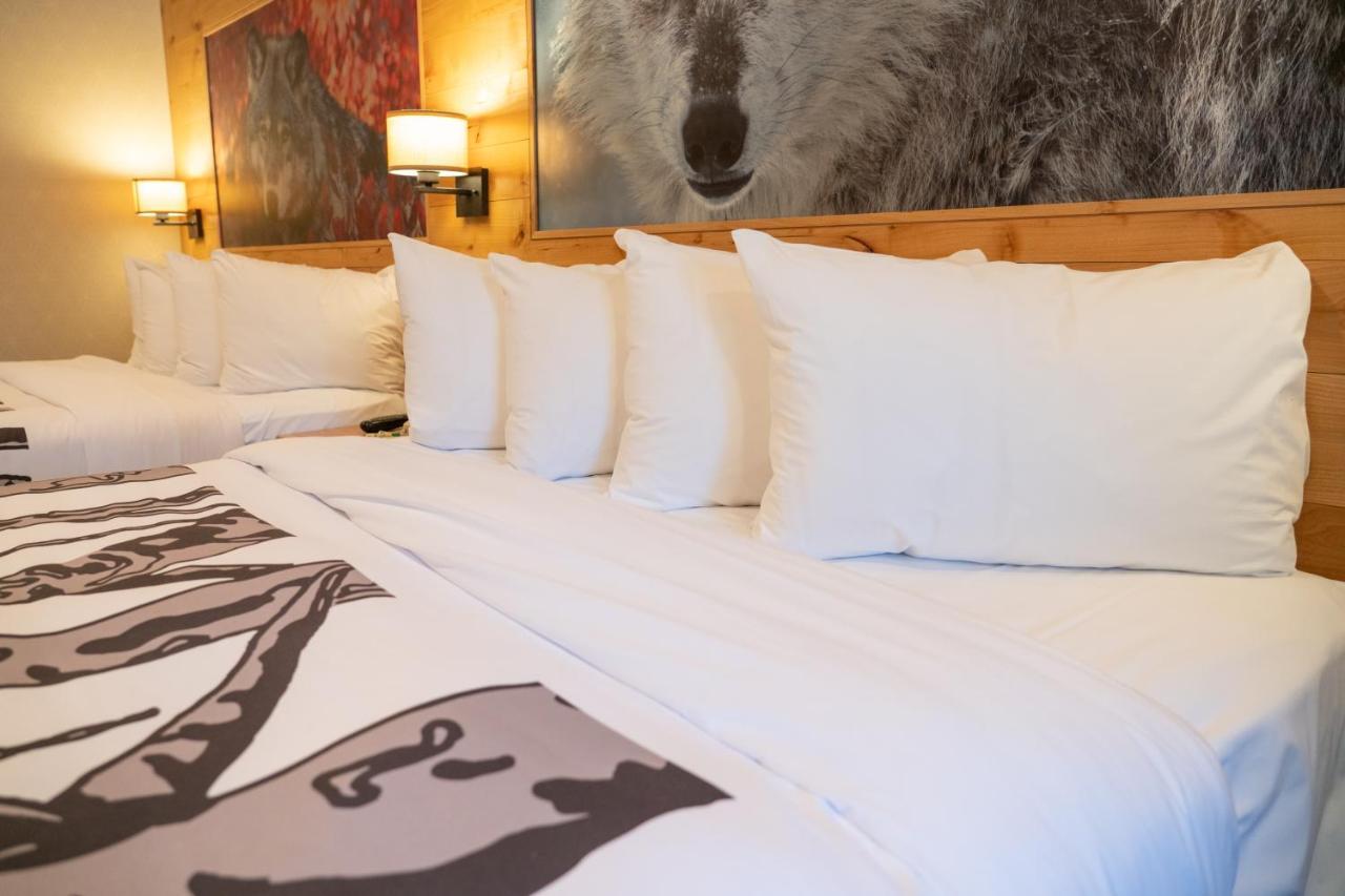Suite Junior avec 2 Lits Queen-Size
