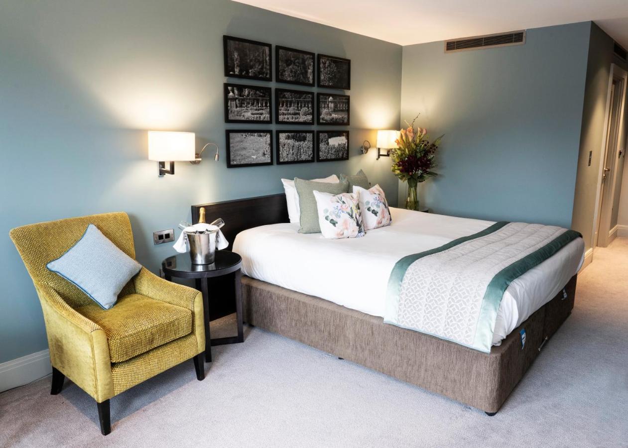 Superior Double or Twin Room,1015151236:JPEG