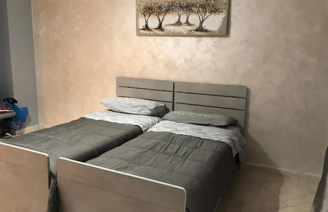 B&B International Patrizya-1