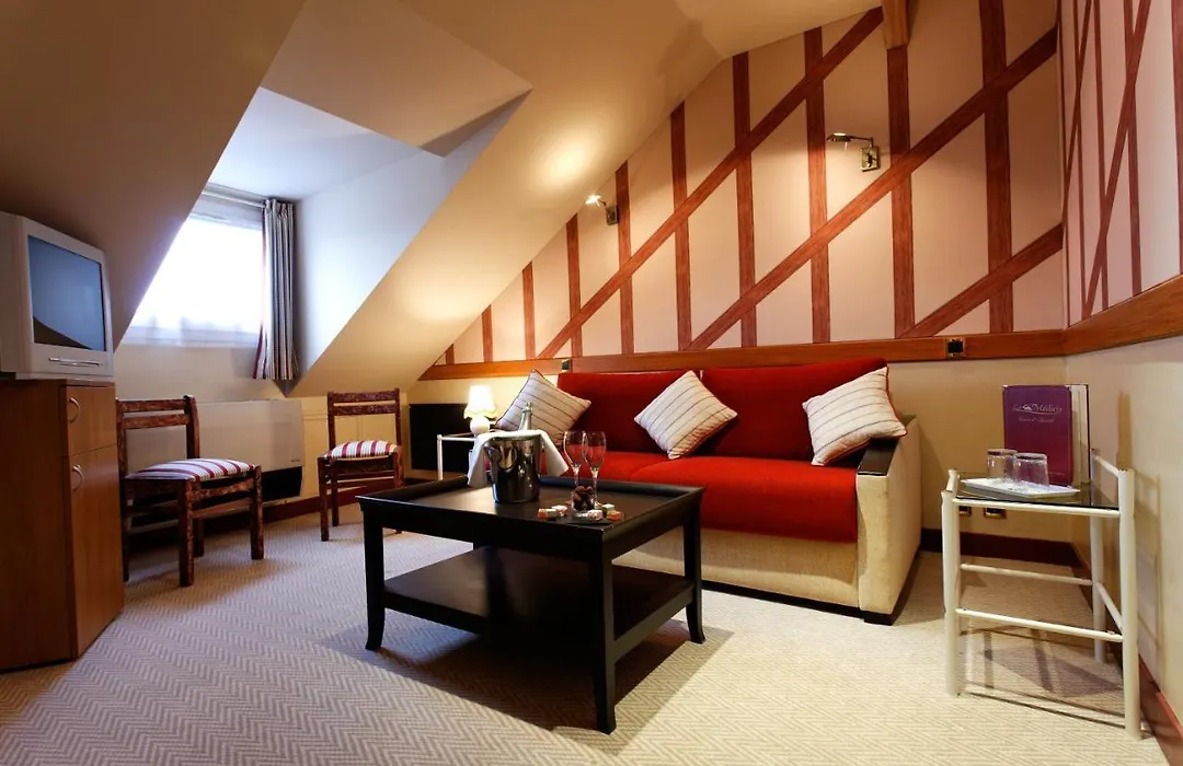 Logis Hotel Restaurant Le Medicis-1