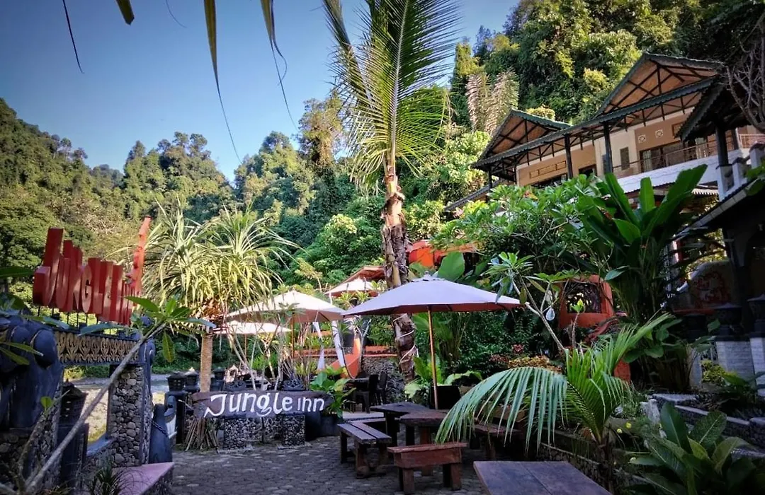 Jungle Inn Bukit Lawang-1