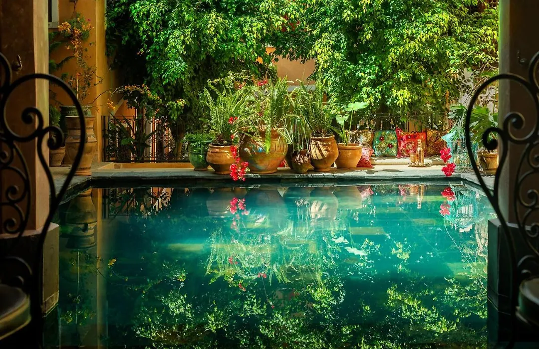 Riad Roxanne-1
