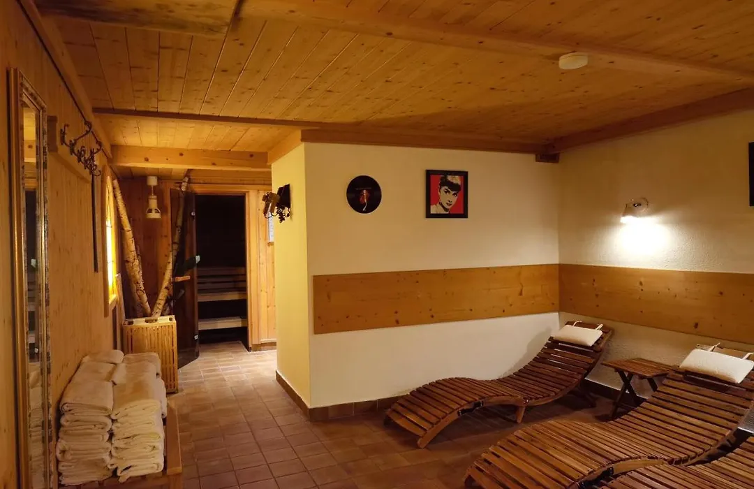 Hotel Alpenhof-1