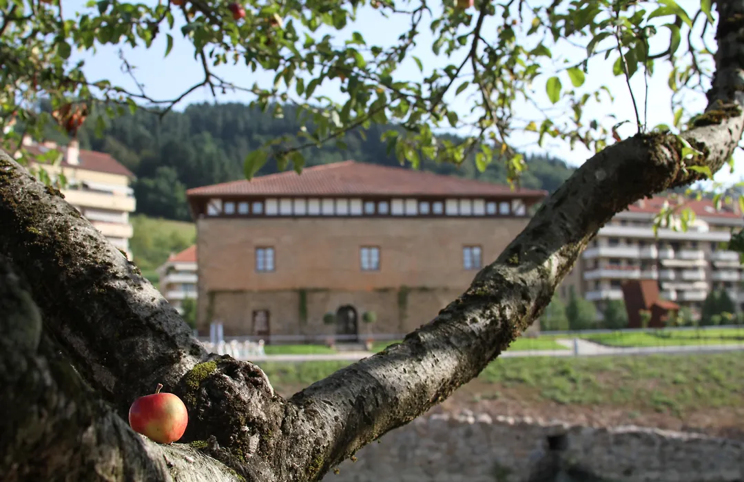 Hotel Dolarea-1