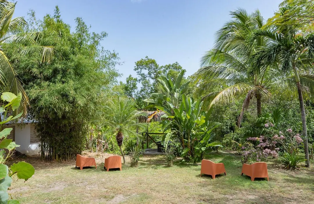 Vieques Tropical Guest House-1