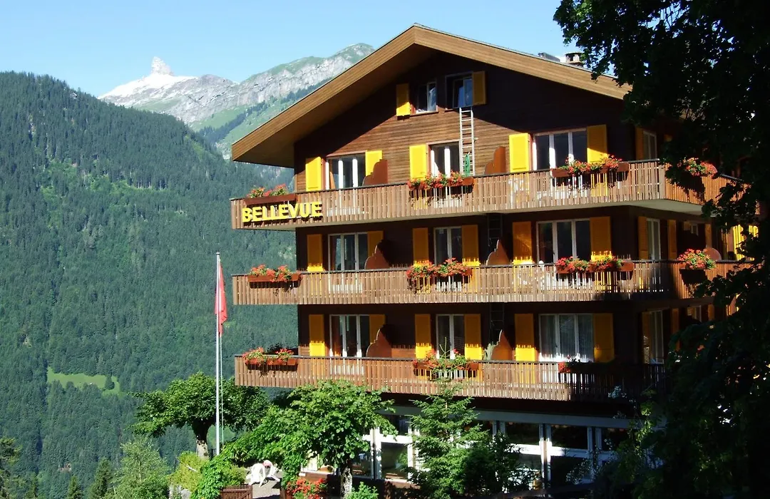 Hotel Bellevue - Traditional Swiss Hideaway-1