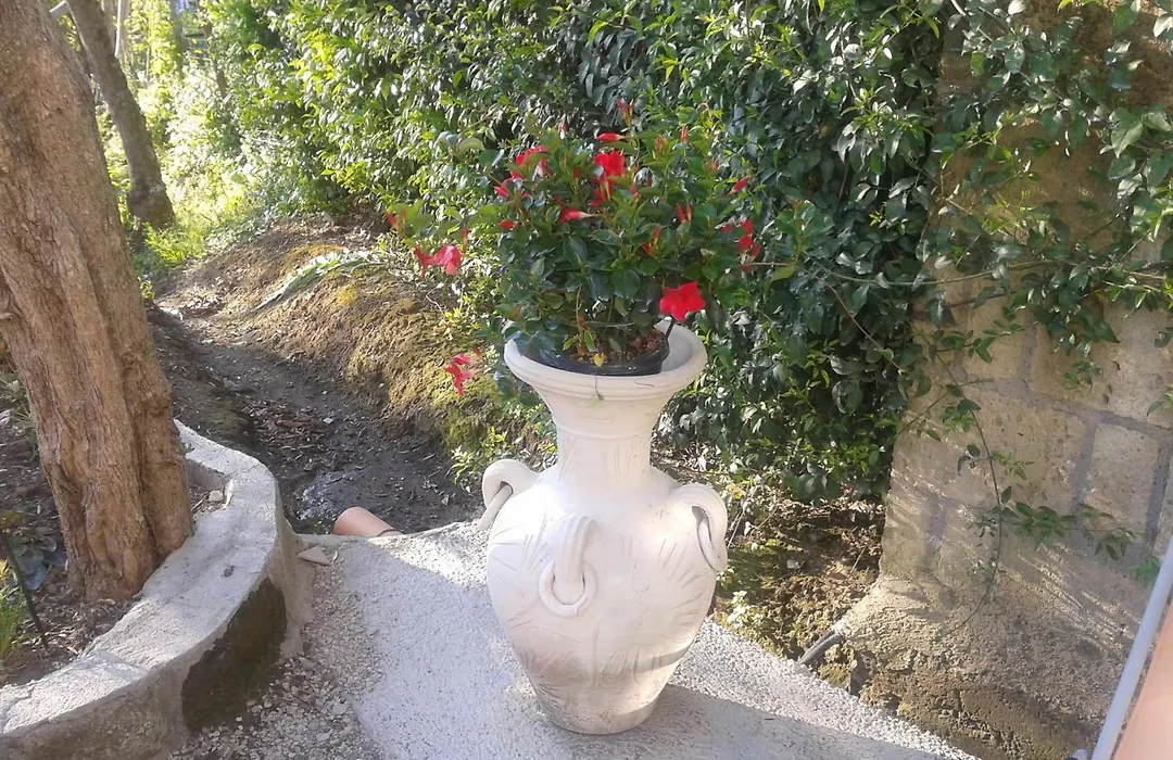 Il Cottage B&B-1