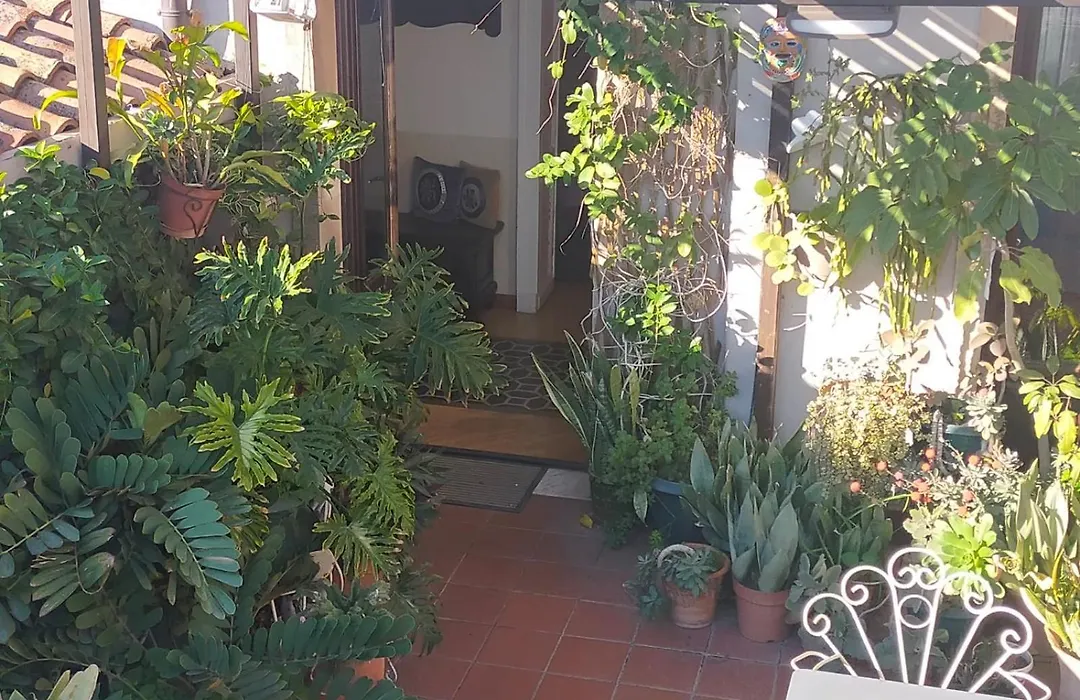 Crociferi B&B-1