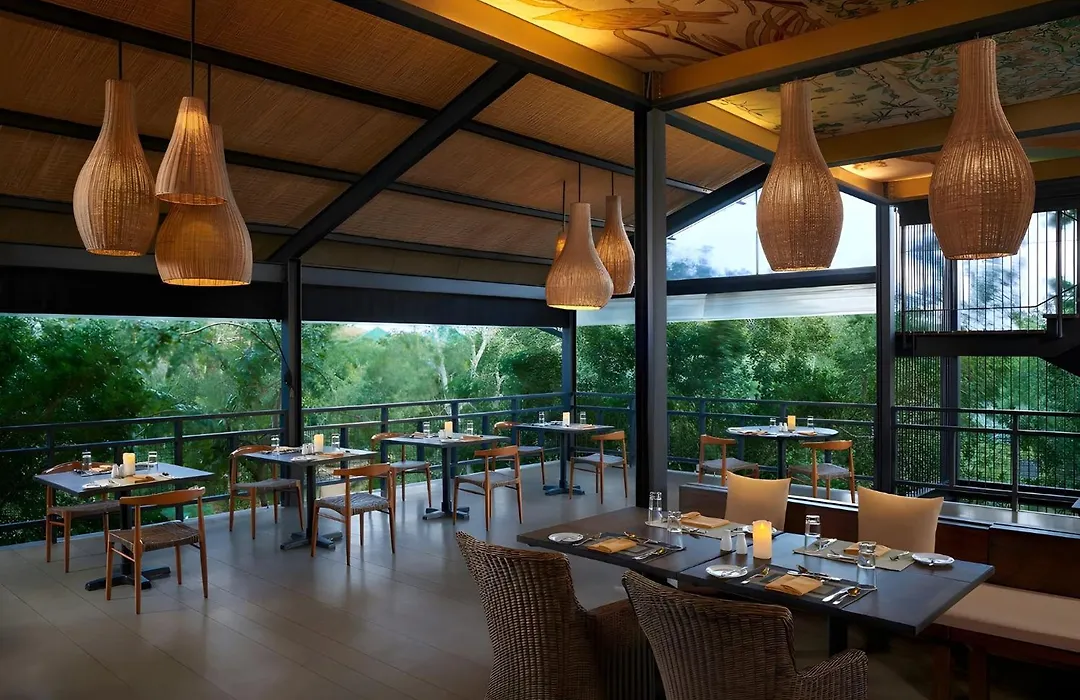 Cinnamon Wild Yala-1