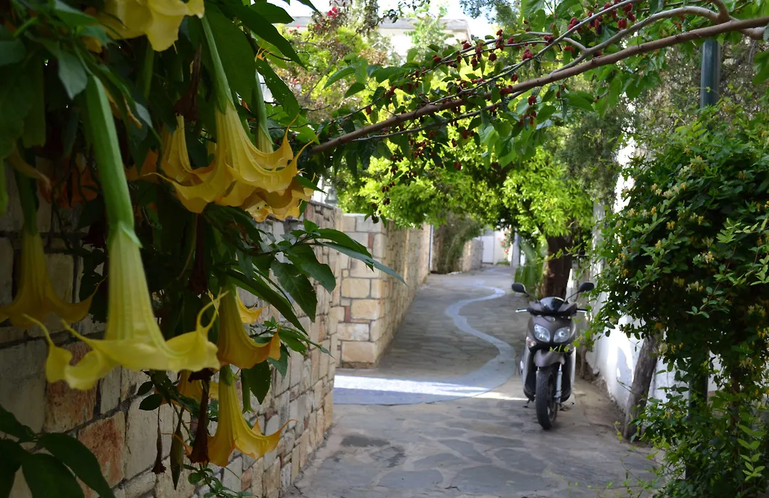 Su Hotel - Bodrum-1