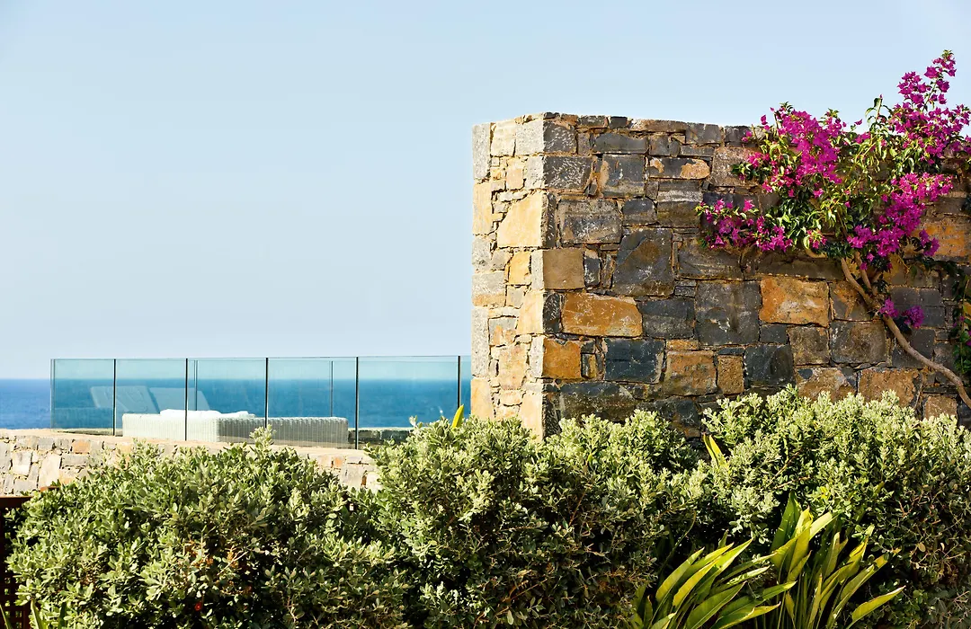 Daios Cove-1