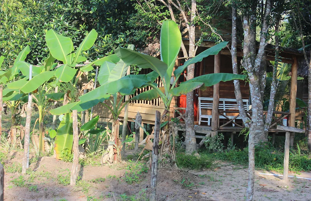 Pepper Farm Phu Quoc-1