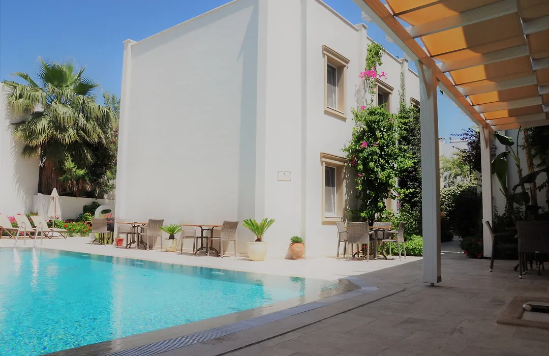 Olivias Group Hotel-1