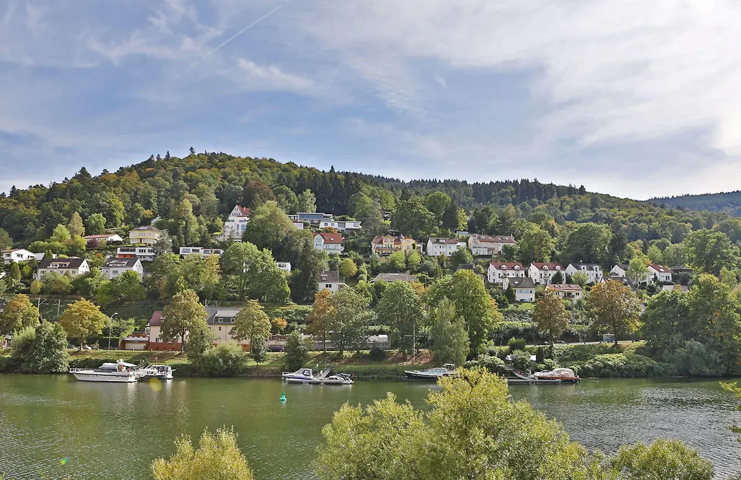 Hotel Neckarlux-1