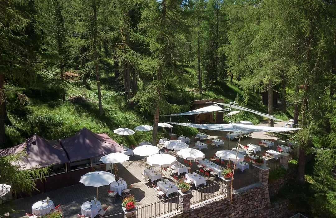 Hotel Waldhaus Sils-1