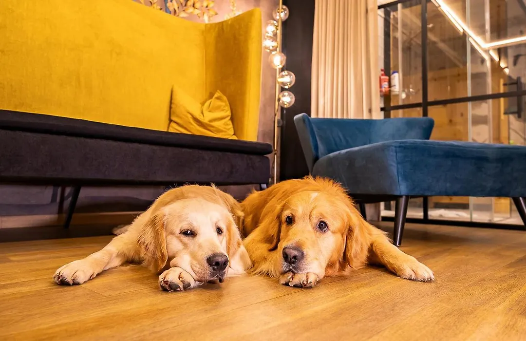 Hotel Magdalena im Zillertal - Urlaub mit Hund-1