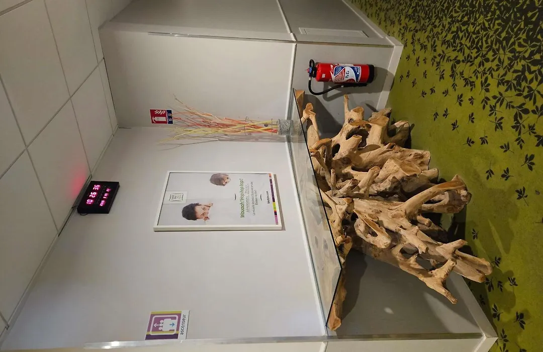 ibis styles Villeneuve Sur Lot-1
