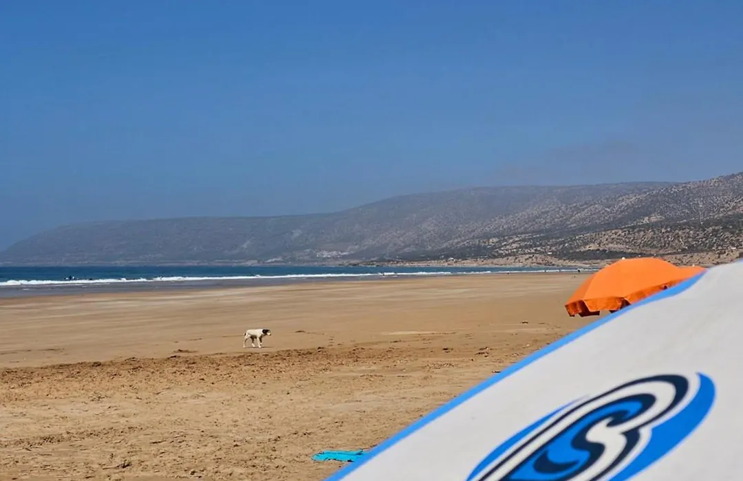 Bigblue Surf Experience Hostel (Adults Only)-1