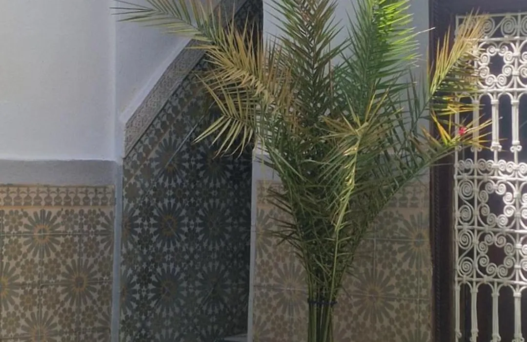 Riad Dalia-1