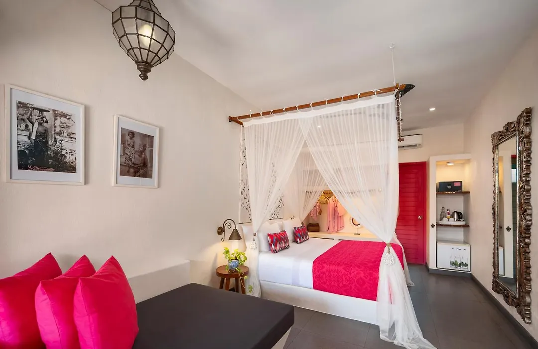 Pinkcoco Uluwatu - Constant Surprises & For Cool Adults Only-1