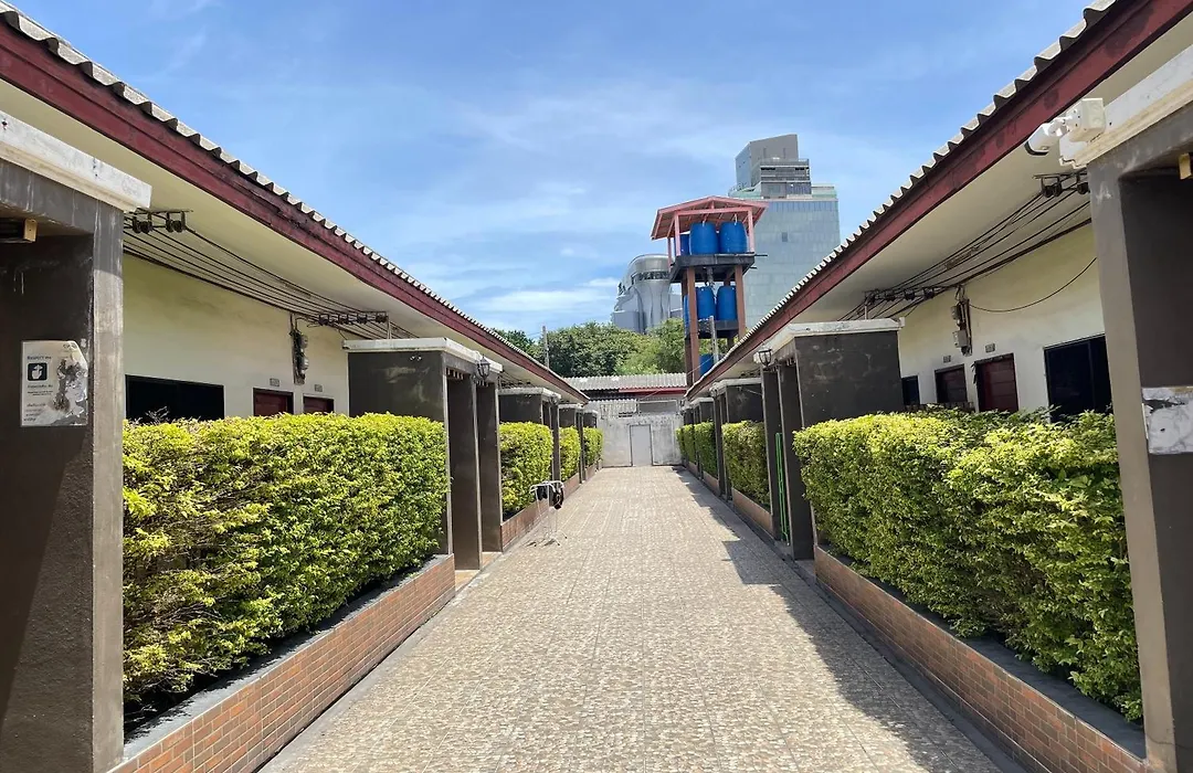 Fairtex Residence Pattaya-1