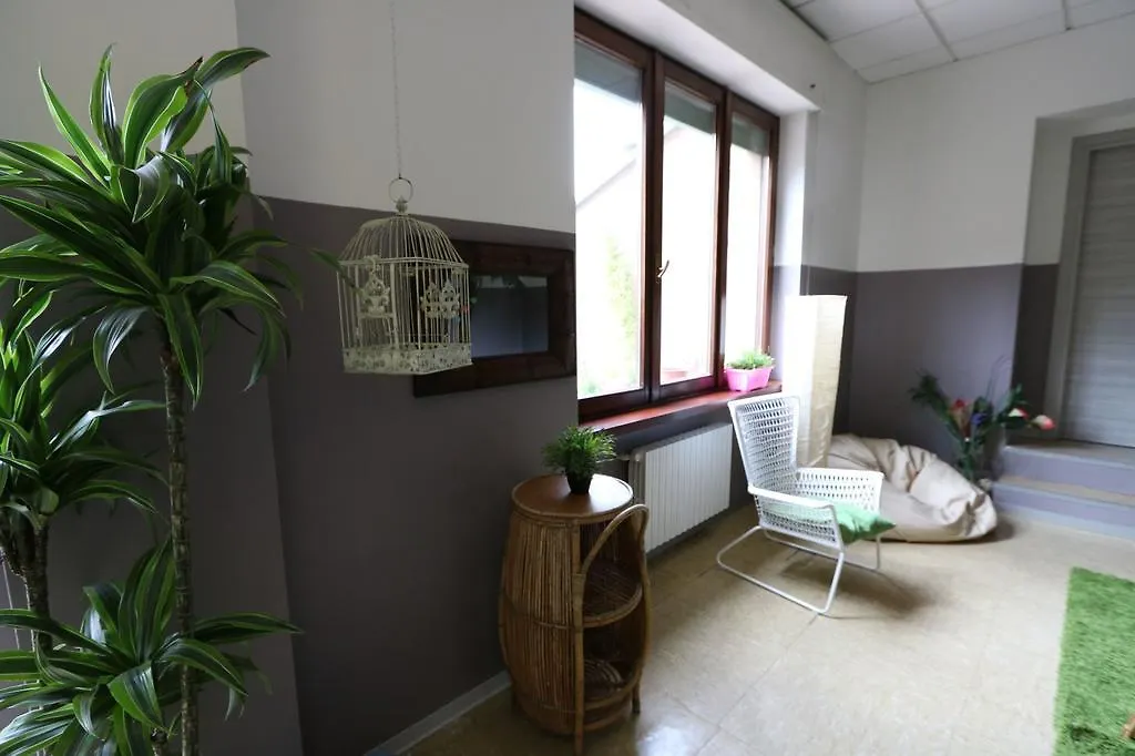 Panda Hostel-1