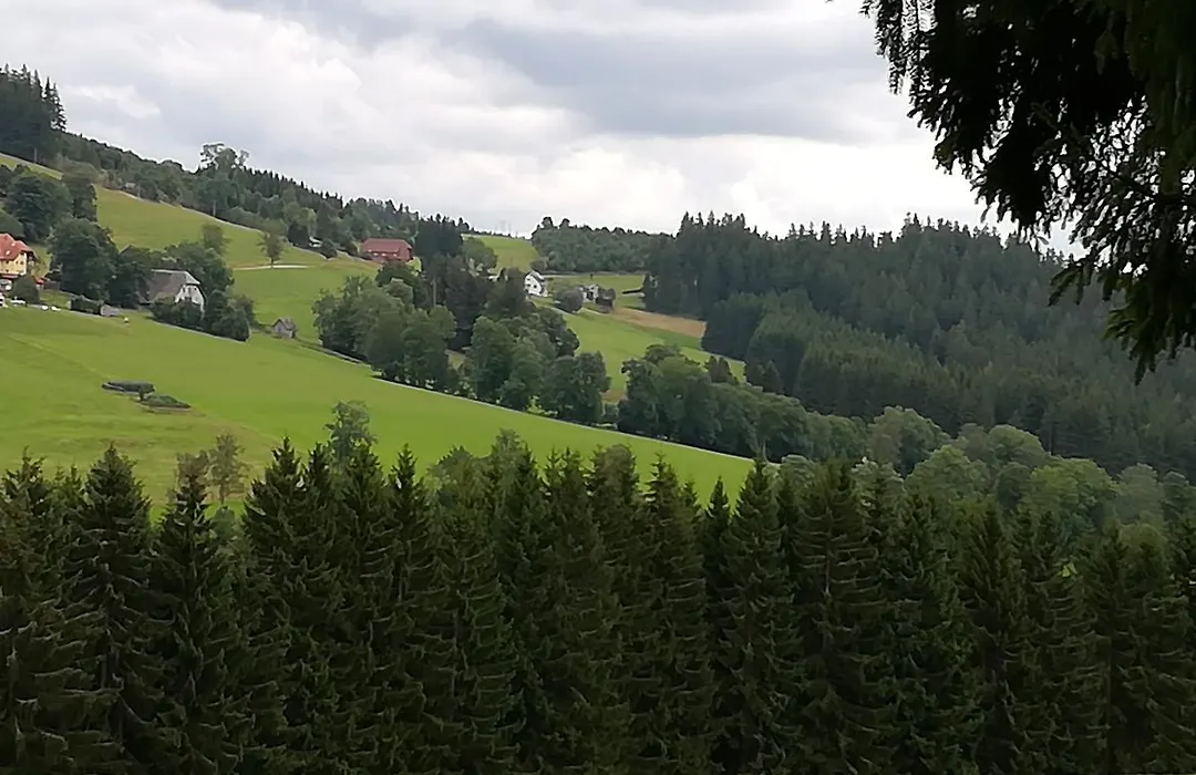 Pension Forsthaus Täle-1