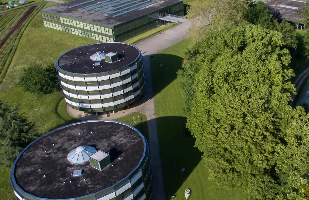 Centre Loewenberg-1