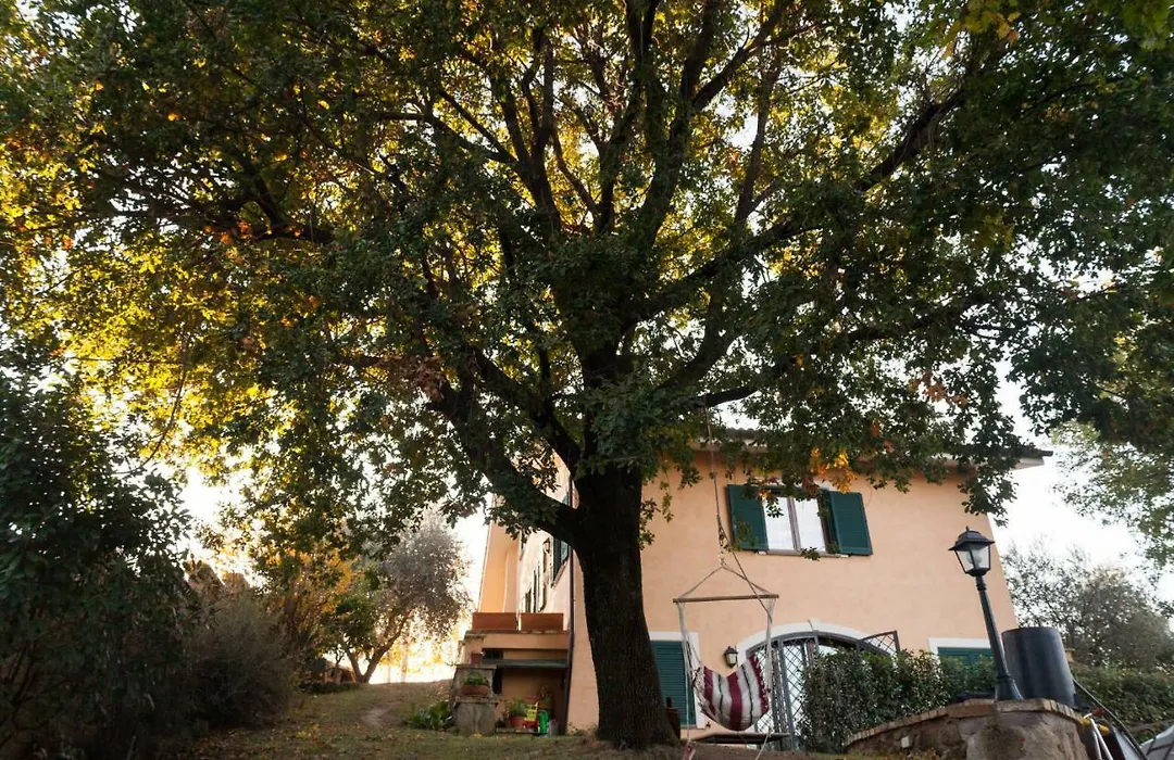 B&B Le Querce-1