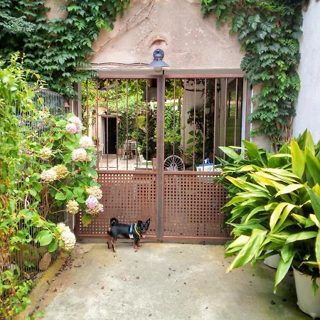 Marakasa B&B-2