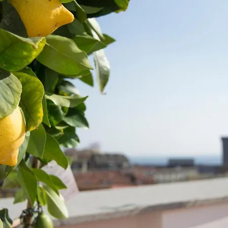 Panoramic Terrazza Srl-3