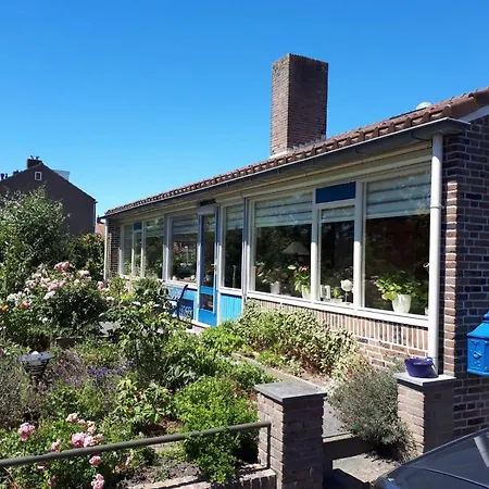 B&B De Blauwe Tulp-3