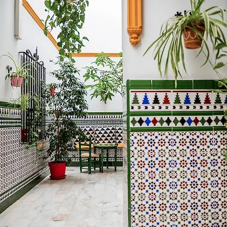 Hostel Triana Backpackers-3