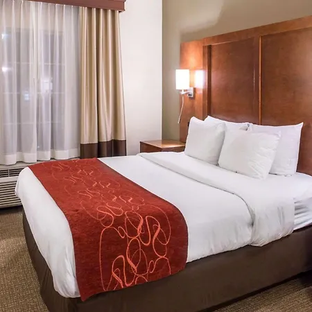 Comfort Suites Newark - Harrison-2