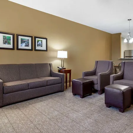 Comfort Inn & Suites Lenoir Hwy 321 Northern Foothills-2
