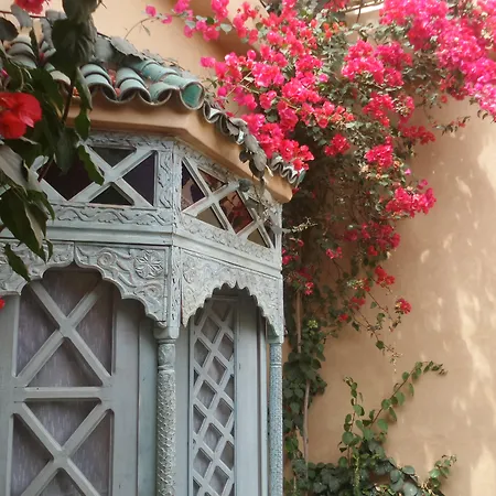 Riad Armelle-3
