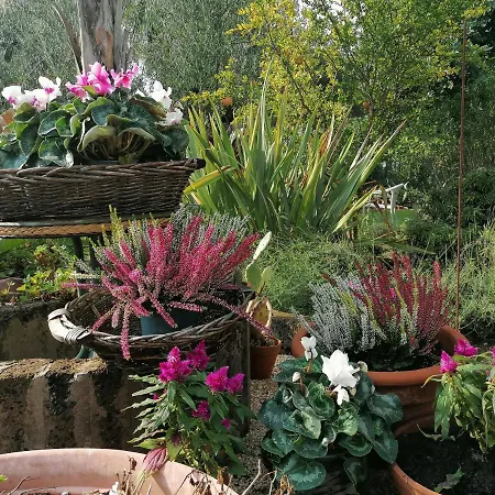 Il Giardino del Tè-3