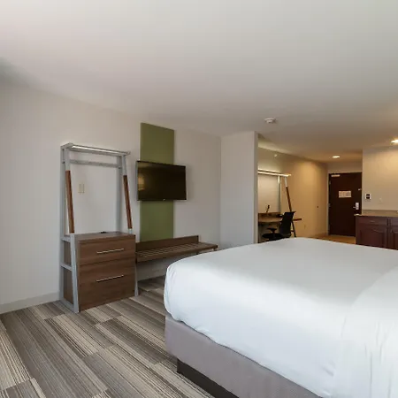 Holiday Inn Express & Suites - South Bend - Notre Dame Univ.-2