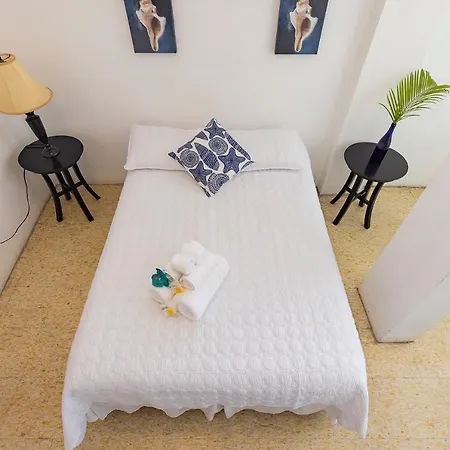 Vieques Tropical Guest House-2