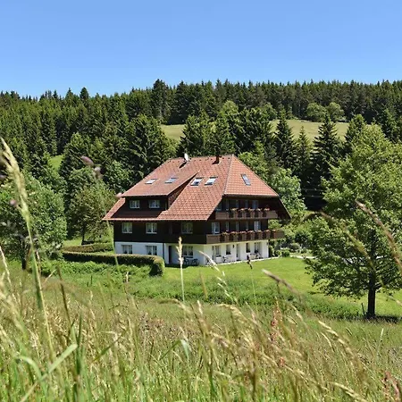 Hotel Hirschen-2
