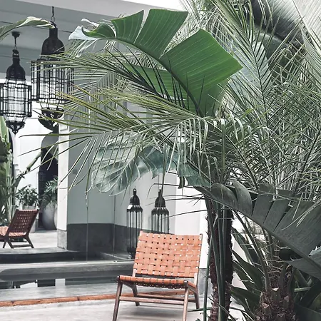 Riad Atay-3