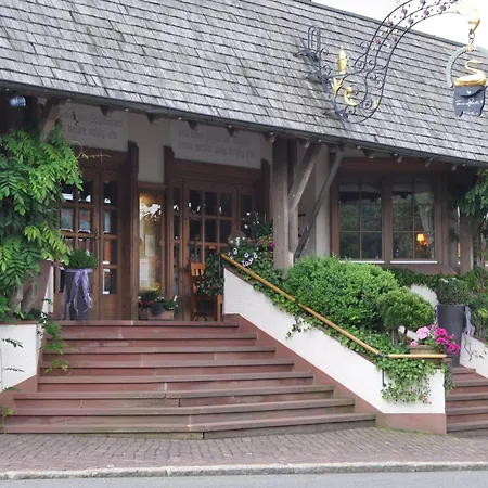 Hotel Schwanen Kälberbronn-3